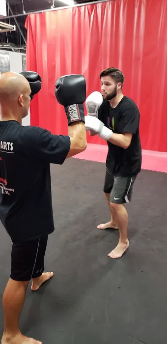 Z's Martial Arts Academy Picture 3