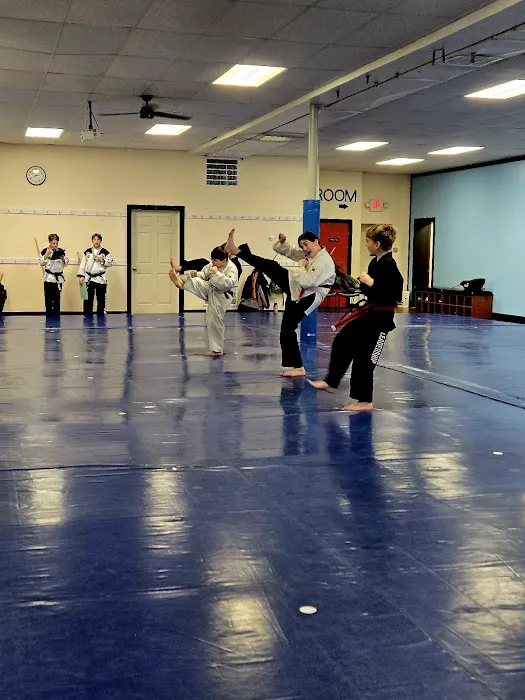 Kyuki-Do Martial Arts Crystal Lake Picture 3