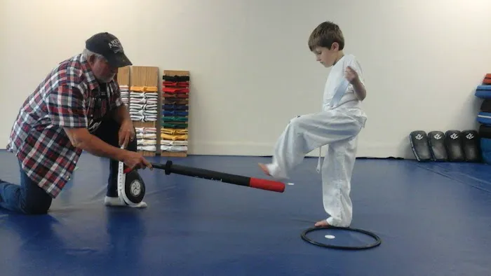 Kyuki-Do Martial Arts Crystal Lake Picture 5