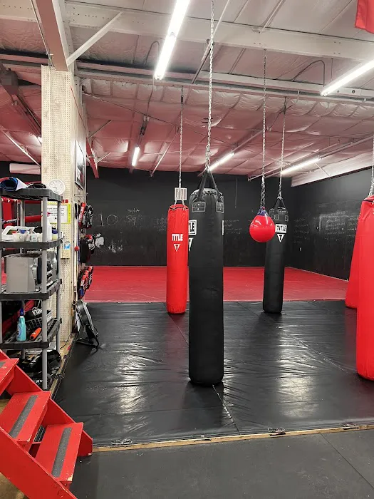 United Elite Mixed Martial Arts and Fitness Picture 1