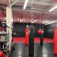 United Elite Mixed Martial Arts and Fitness ico
