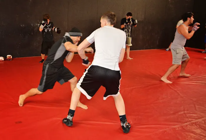 United Elite Mixed Martial Arts and Fitness Picture 2