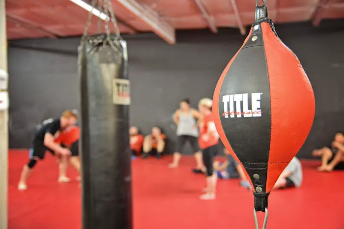 United Elite Mixed Martial Arts and Fitness Picture 8
