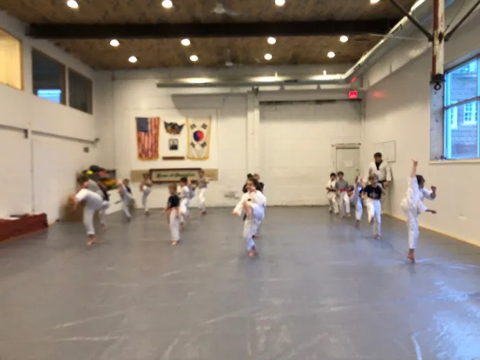 U. S. Taekwondo Academy Picture 4