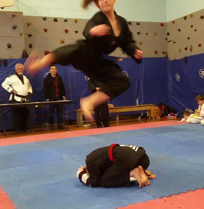 Rockford Academy Of Tae-Kwon-Do Picture 3