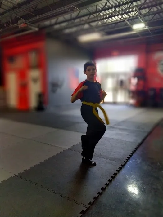 Excel Academy of Tae Kwon DO Picture 9