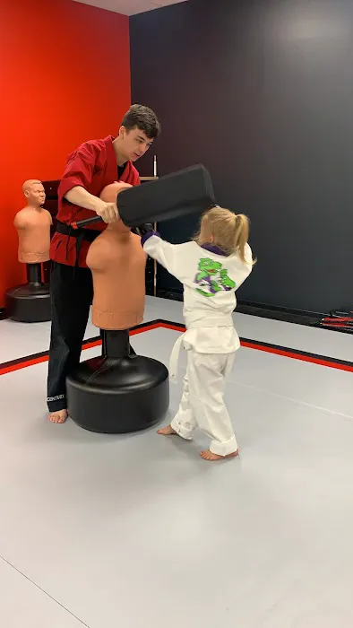 Championship Martial Arts - Kenosha Picture 2
