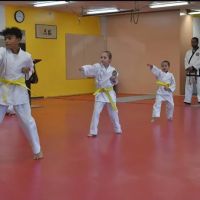 Yun's Academy of Tae Kwon Do ico