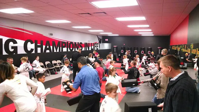 Championship Martial Arts - Racine Picture 2