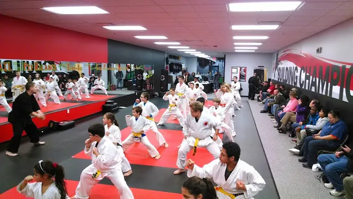 Championship Martial Arts - Racine Picture 10