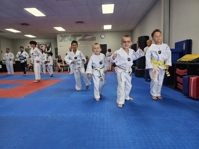 American Martial Arts Academy - Loves Park Picture 5