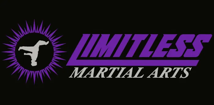 Limitless Martial Arts Picture 3