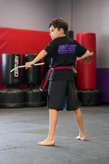 Limitless Martial Arts Picture 4