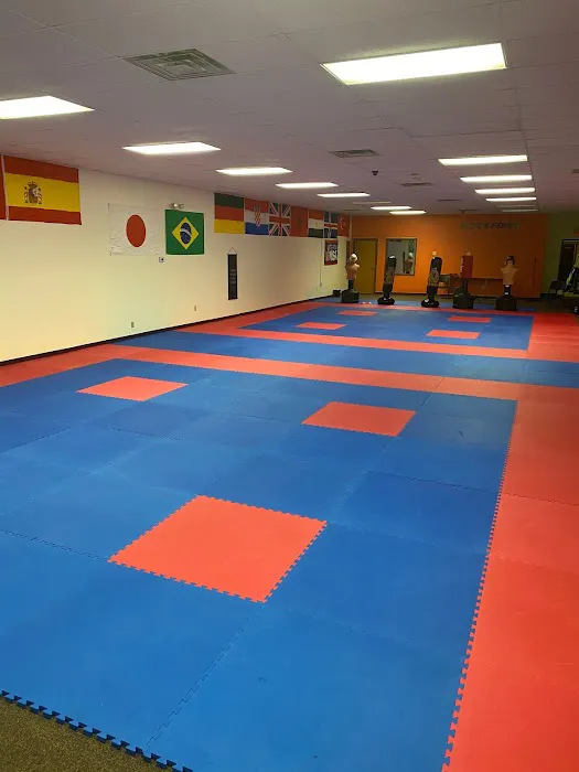 Rockford Karate Center Picture 6
