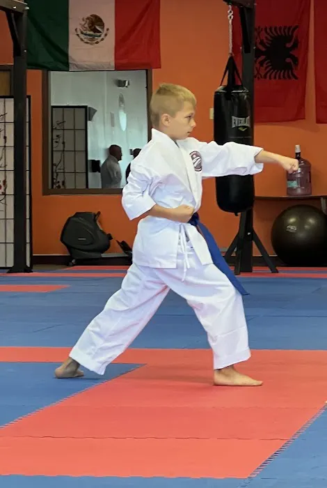 Rockford Karate Center Picture 1