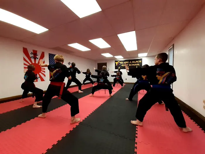 Star Martial Arts Studios inc Picture 1