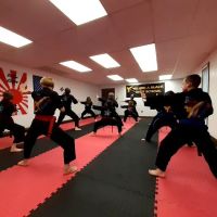 Star Martial Arts Studios inc ico