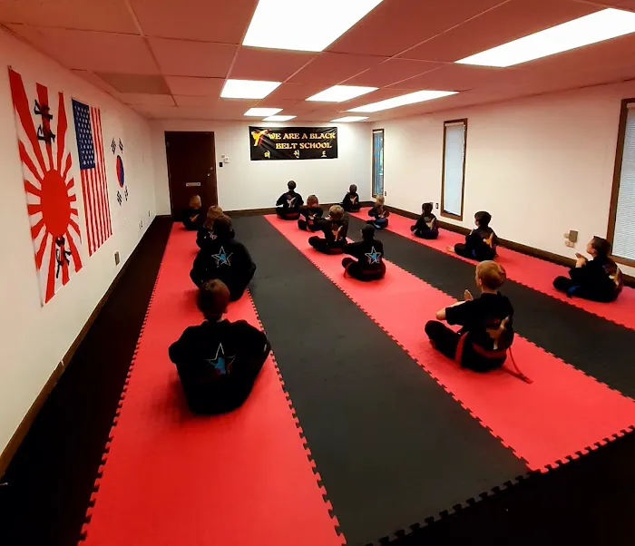 Star Martial Arts Studios inc Picture 5