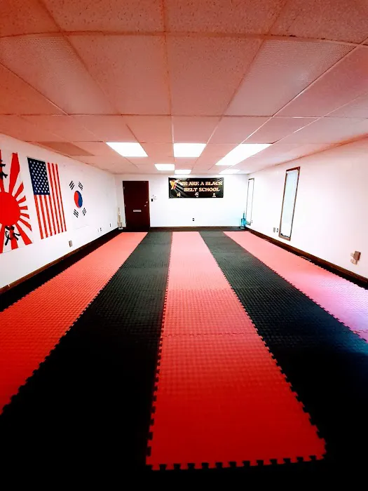 Star Martial Arts Studios inc Picture 3
