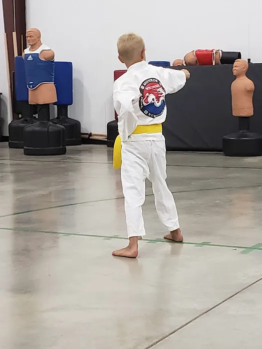 Monroe New Glarus Taekwondo Picture 1