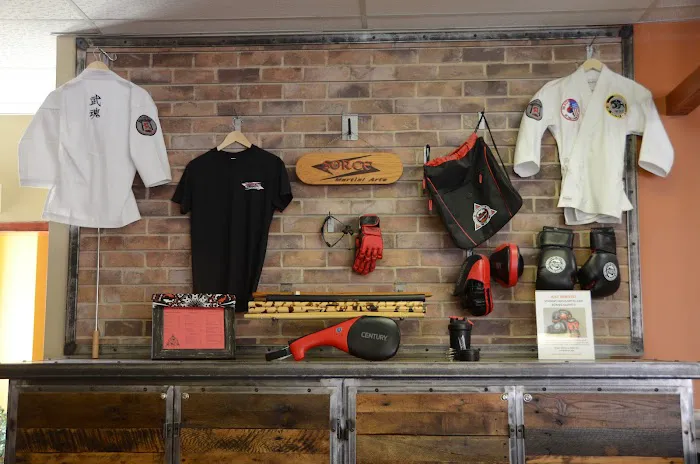 Sorce Martial Arts Picture 6