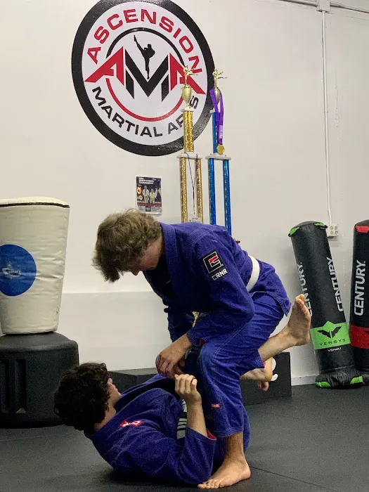 Ascension Martial Arts - AMA Picture 1