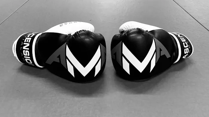 Ascension Martial Arts - AMA Picture 10