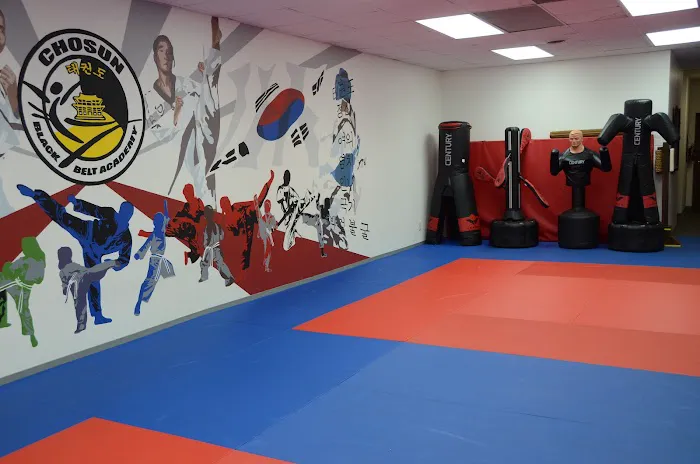 Chosun Black Belt Academy Picture 1