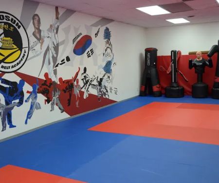 Chosun Black Belt Academy