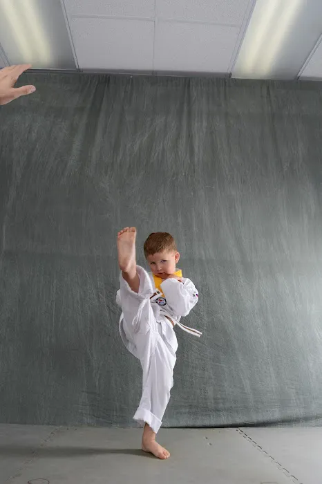 Chosun Black Belt Academy Picture 6