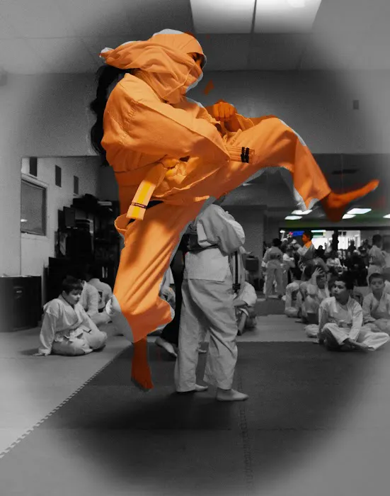 Martial Arts America Picture 6