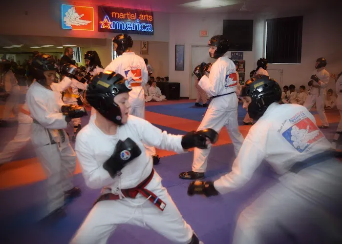 Martial Arts America Picture 2