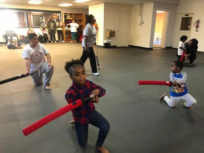 Martial Arts America Picture 1
