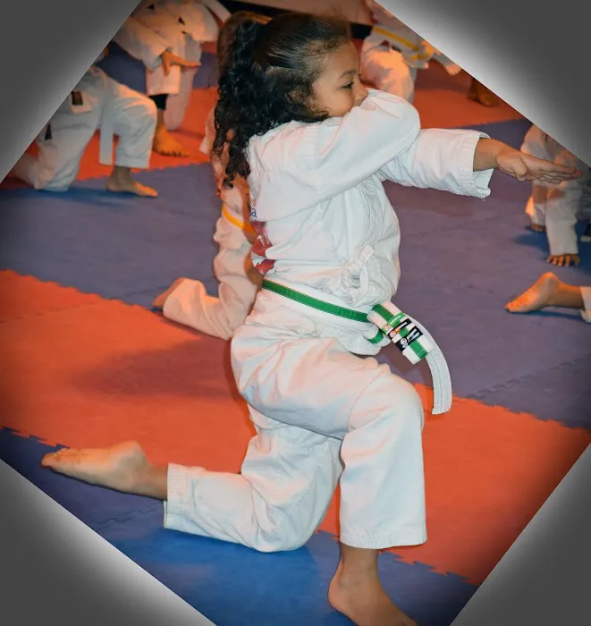 Martial Arts America Picture 9