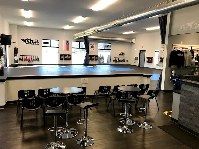 Cho's Martial Arts Picture 2