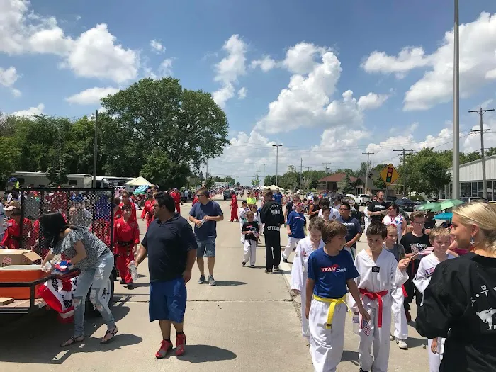 Cho's Martial Arts Picture 7