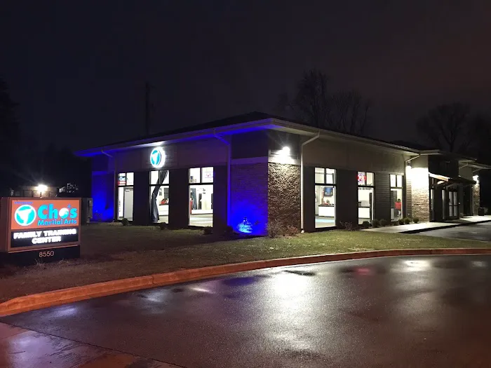 Cho's Martial Arts Picture 10