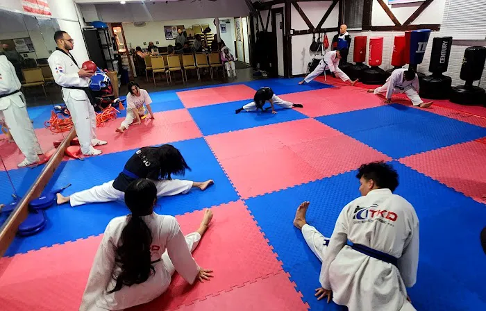 Centro Integral Taekwondo Picture 4