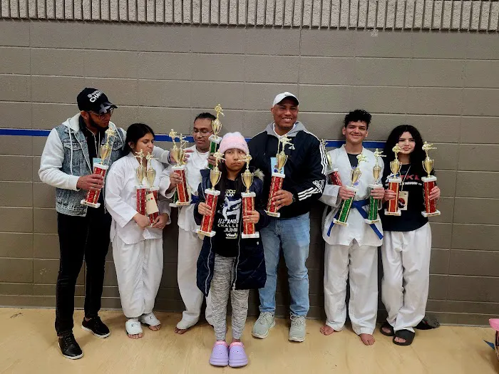 Centro Integral Taekwondo Picture 9