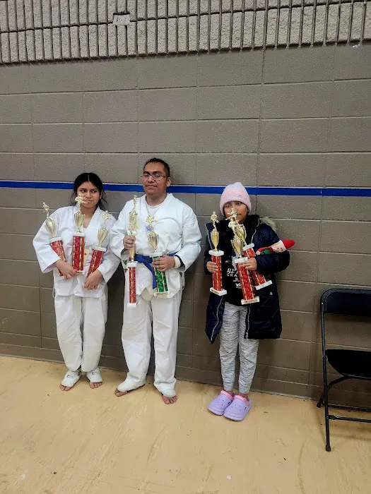 Centro Integral Taekwondo Picture 10