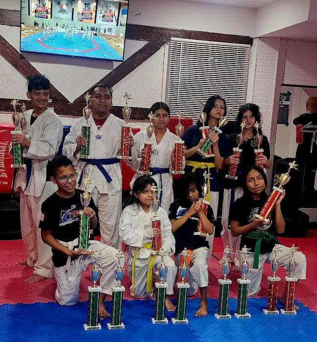 Centro Integral Taekwondo Picture 8