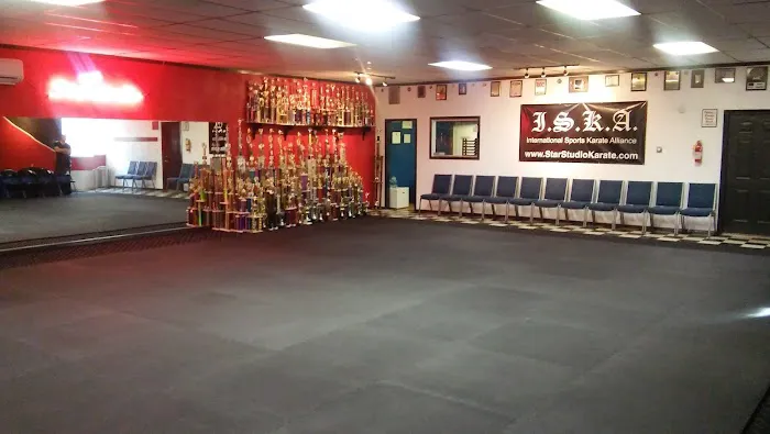 Star Martial Arts Studios Inc Picture 2