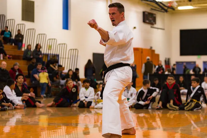 Elite Tae Kwon Do Monroe WI Picture 5