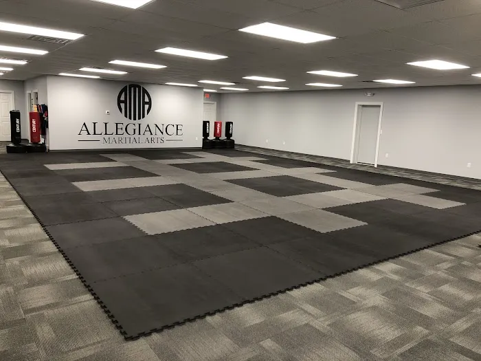 Allegiance Martial Arts Picture 2
