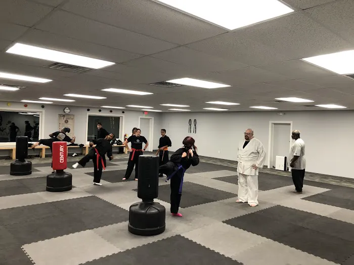 Allegiance Martial Arts Picture 6