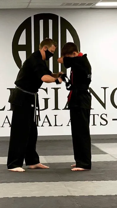 Allegiance Martial Arts Picture 10