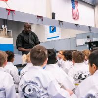 Silver Lining Taekwon-do ico