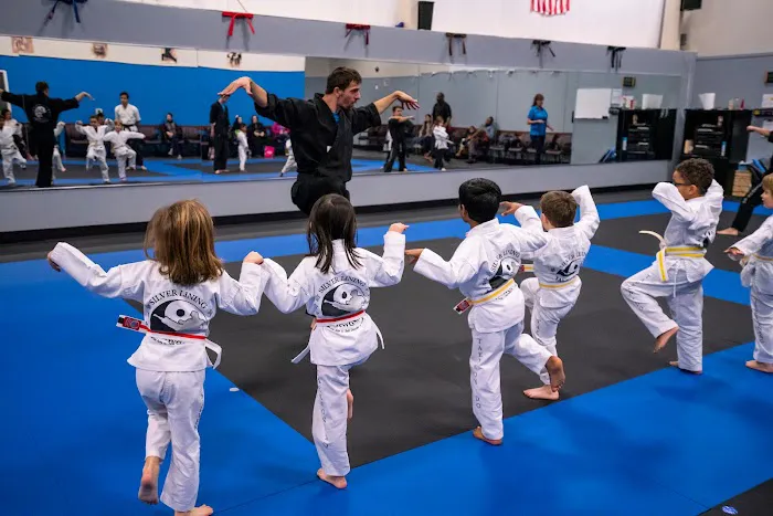 Silver Lining Taekwon-do Picture 7
