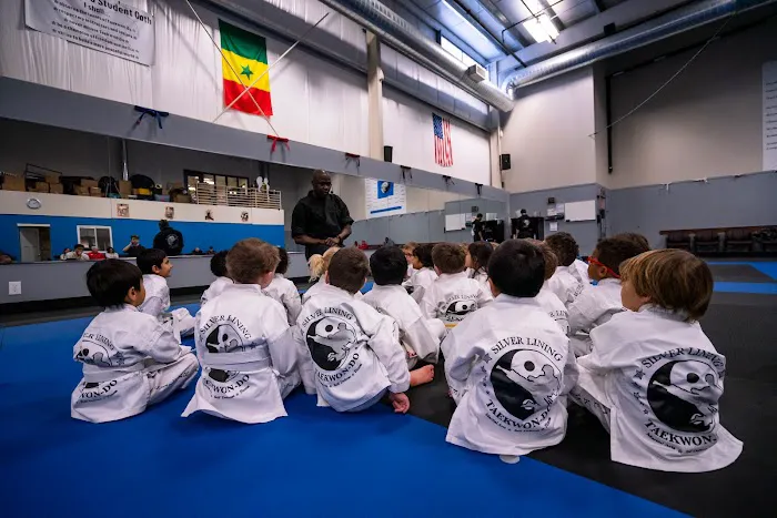 Silver Lining Taekwon-do Picture 9