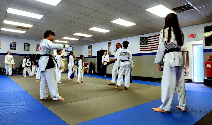 Wings Academy Taekwondo Picture 1